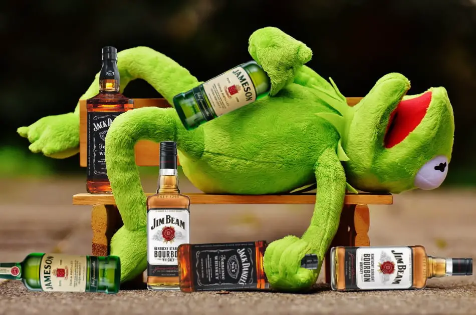 Kermit the frog in drunken pose with bottles of whiskey
