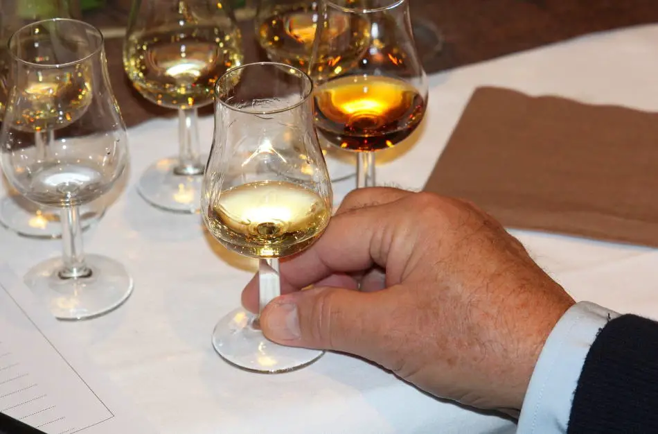 Whiskey nosing glass being held by the stem