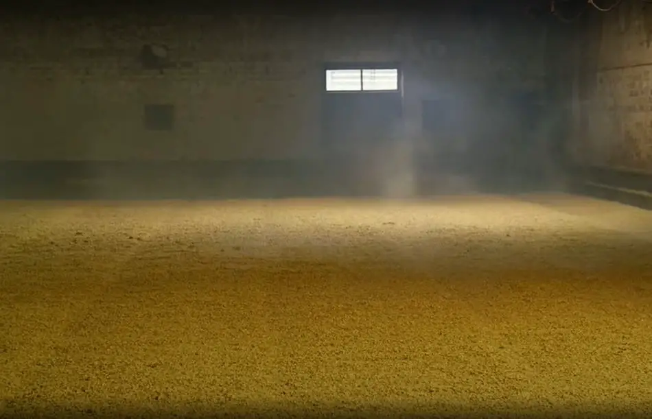 Malted barley being dried over a kiln